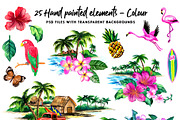 Vintage Hawaiian Illustration Pack, an Illustration by Lindy_doodle (Thumbnail 3 of 8)
