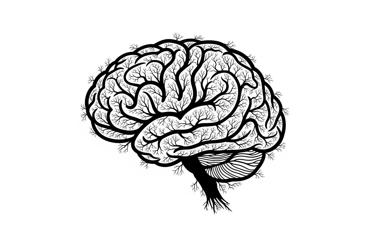 Brain Tree Knowledge Design Bundle, an Illustration by Gaye Art (Photo 7 of 31)