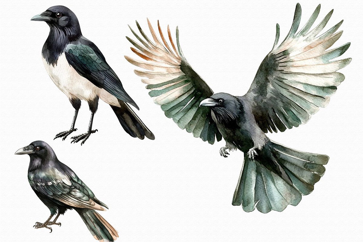 Raven watercolor clipart, an Illustration by Libby Wishes (Photo 2 of 4)
