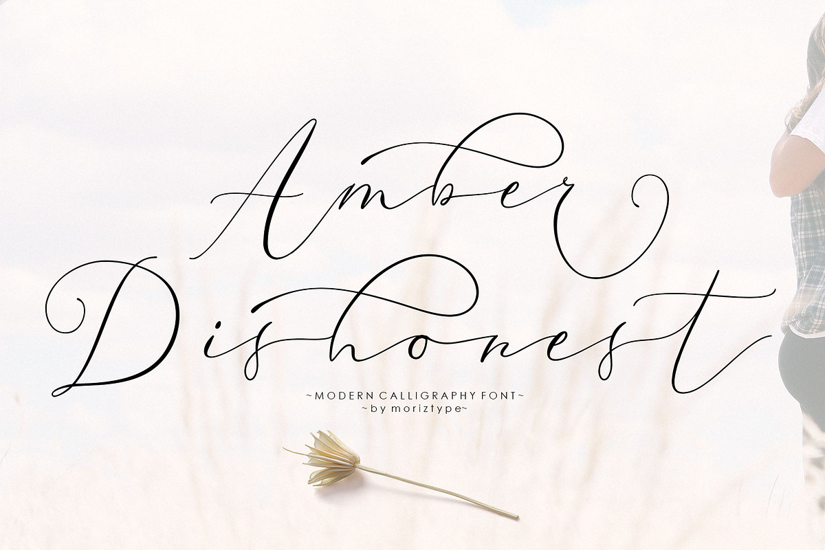 Amber Dishonest, a Script Font by moriztype (Photo 1 of 10)