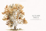 An Autumn Forest Chapter Collection, an Animal Illustration by PeDe Designs (Thumbnail 28 of 29)