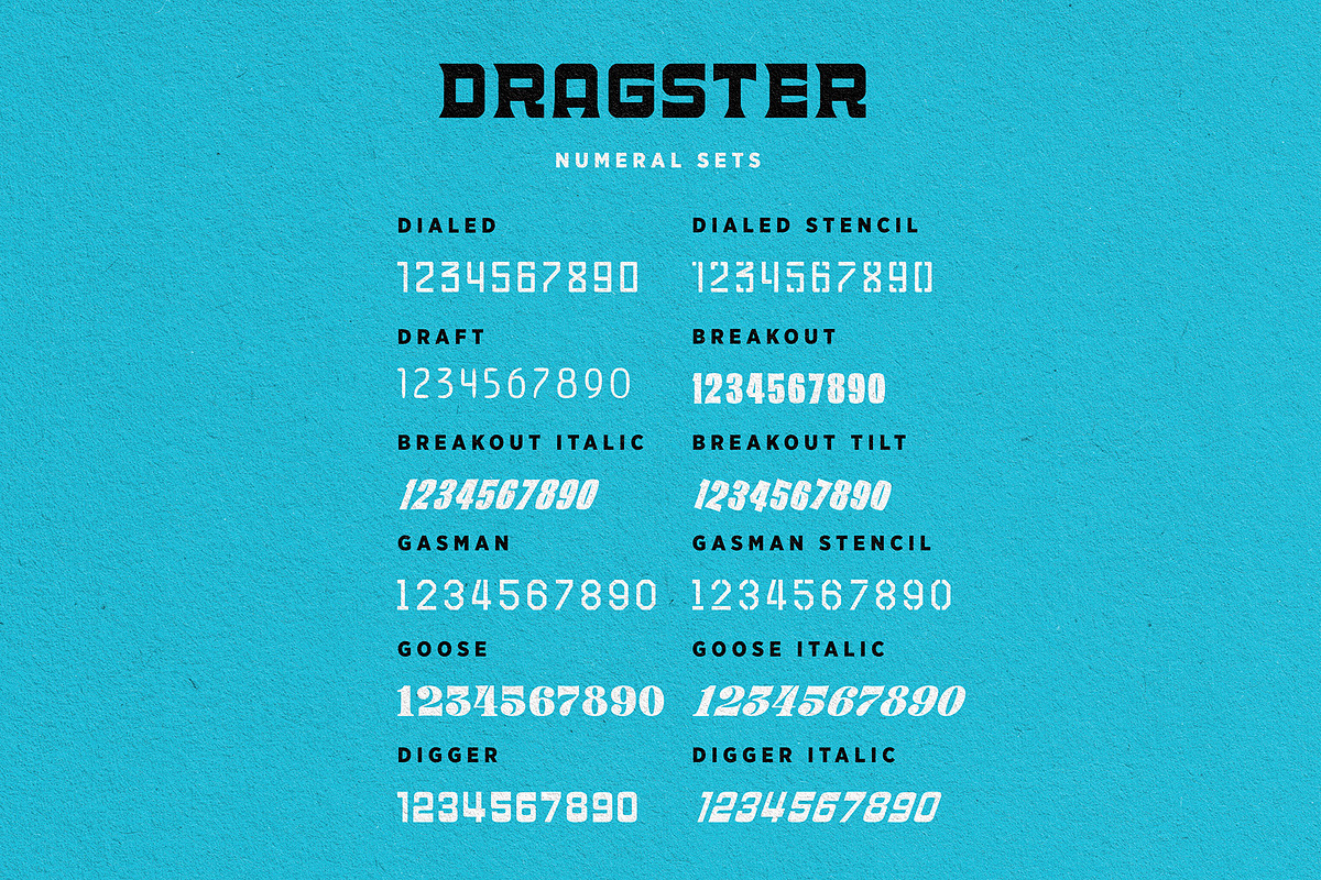 DRAGSTER FONT FAMILY, a Script Font by Price Foundry (Photo 5 of 6)