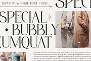 Misslena, a Serif Font by din-studio.com (Thumbnail 3 of 10)
