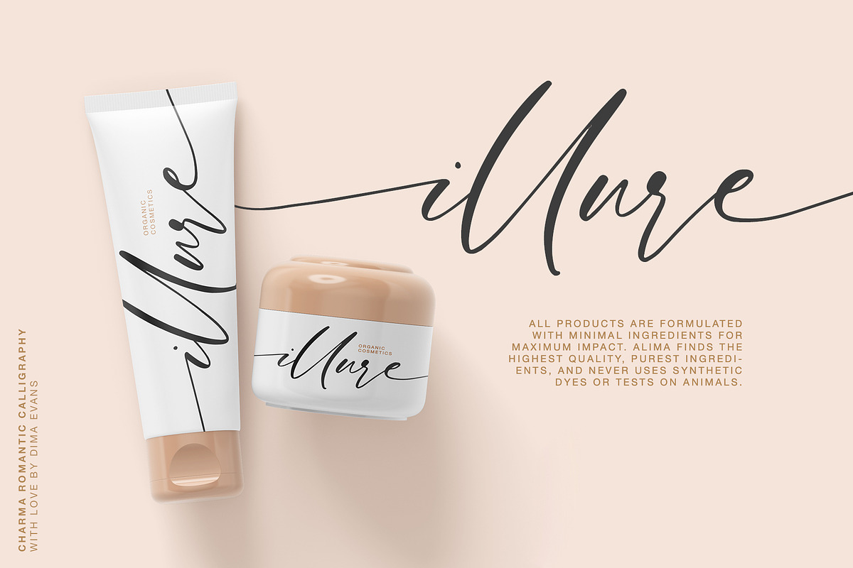 Charma Romantic Script preview 4