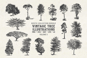 Vintage Tree Vector Bundle Vol. 5