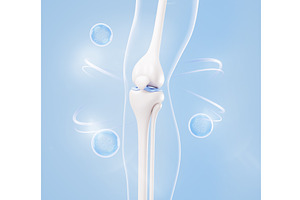3D knee anatomy - healthy human, a Healthcare Illustration by Marozhkastudio