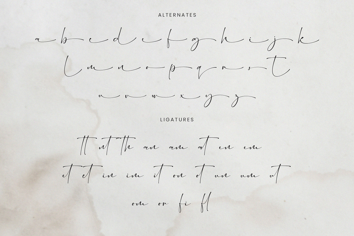 Bretya - Signature Script Font, a Script Font by Flawless And Co (Photo 9 of 10)