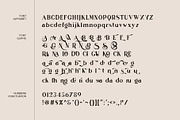 Arina Ligature Serif Typeface, a Serif Font by yaqublekker (Thumbnail 9 of 9)
