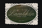 Lace House Stitched Embroidery Font, a Script Font by AnMark (Thumbnail 7 of 11)