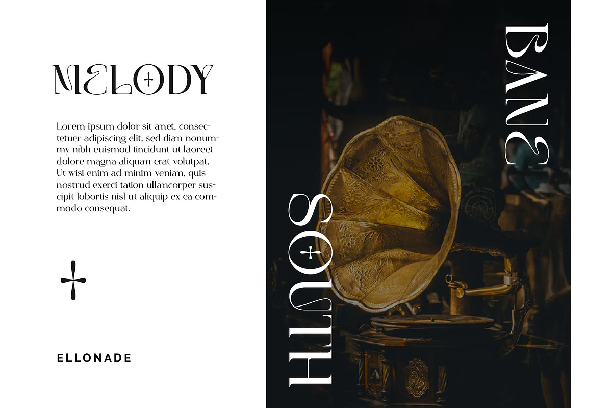 Elonade - Classic Serif Display Font, a Serif Font by Vesvocrea (Photo 2 of 11)