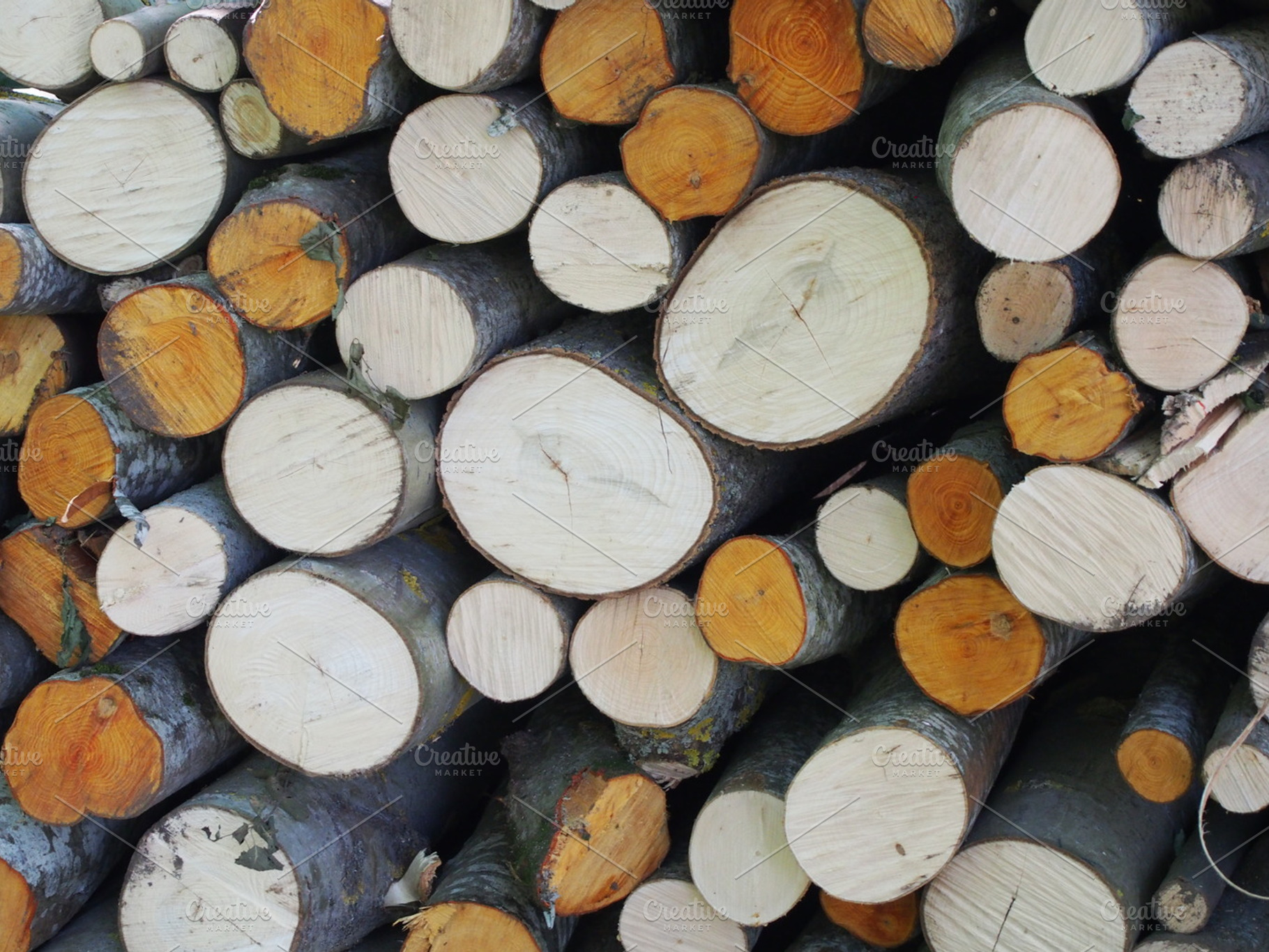 Stacked wood featuring wood, pile, and stacked, a Nature Photo by MatildeGraphics