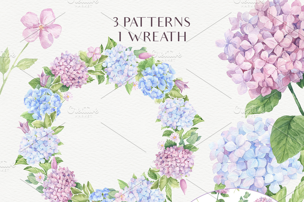 SALE! Watercolor Hydrangea, an Illustration by Irina Diasli (Photo 5 of 9)