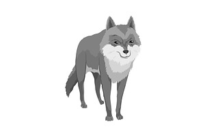 Gray wolf. A predatory beast. Wild, an Animal Illustration by the8monkey