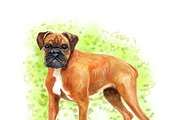 Watercolor Dogs - Collection 2 of 12, an Animal Illustration by Dneprstock (Thumbnail 4 of 4)