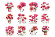 Spring daisy flower clipart, an Illustration by SinaCreation (Thumbnail 2 of 11)