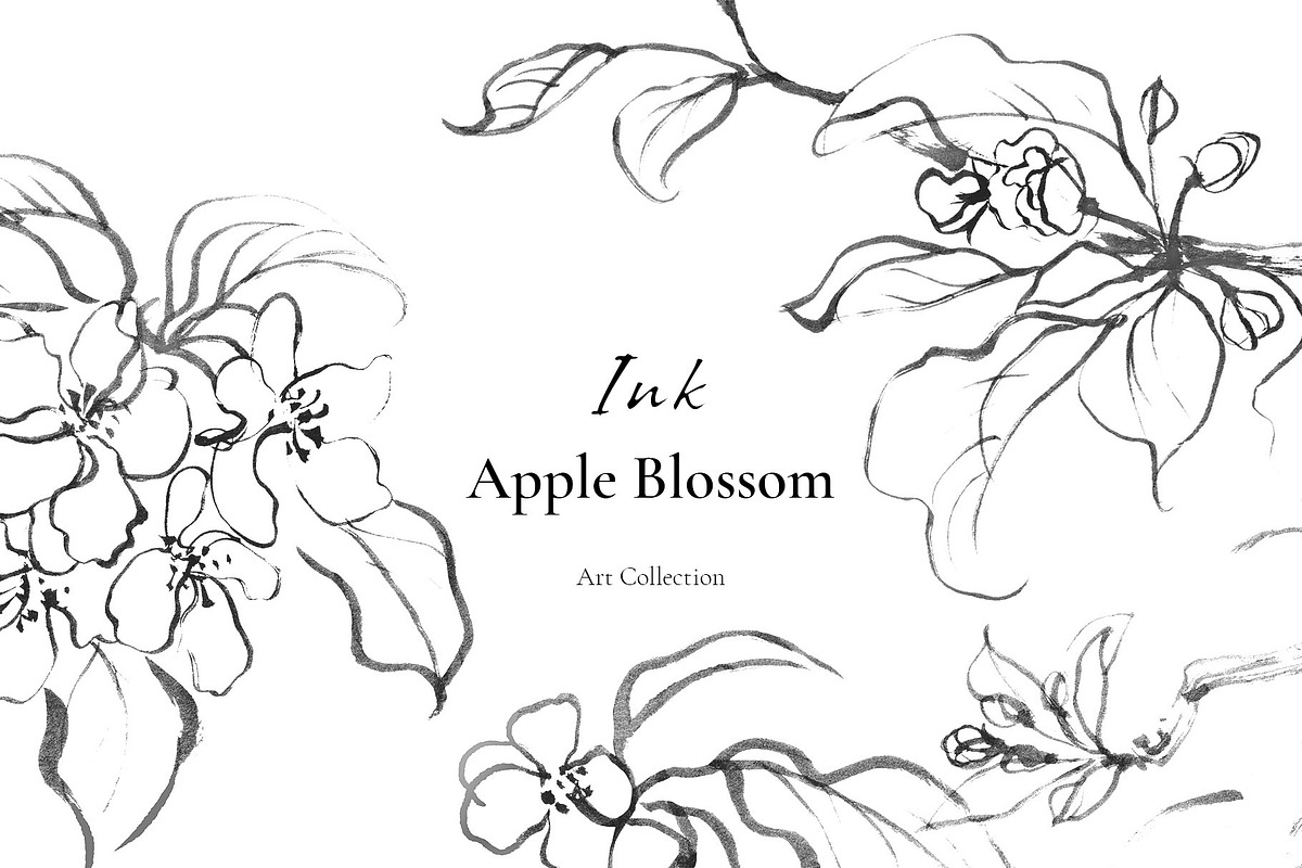 Ink Apple Blossom, an Illustration by Note And Silence (Photo 1 of 5)