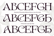 Ark - Psychedelic Art Nouveau Serif, a Serif Font by Fenotype (Thumbnail 5 of 13)