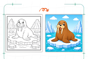 Arctic Animals Coloring Book, an Animal Illustration by Coco Bloom (Thumbnail 7 of 7)