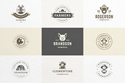 Farm Logos & Badges Vintage Style, a Branding & Logo Template by Vasya Kobelev (Thumbnail 4 of 11)