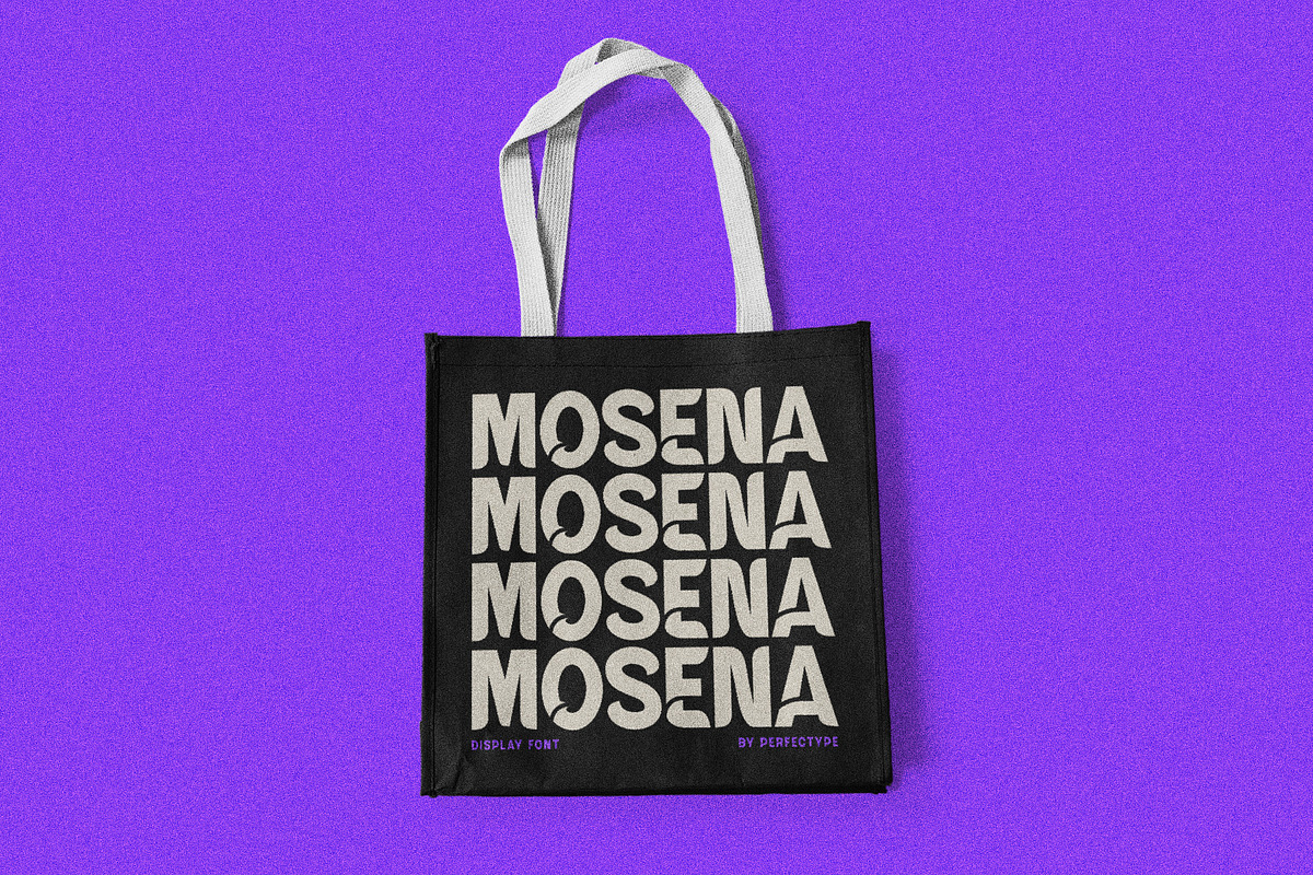 Mosean Modern Sans Serif, a Sans Serif Font by Perfectype (Photo 7 of 10)