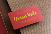 Gud Female Modern Brush Font, a Script Font by Letterena Studios Script (Thumbnail 7 of 15)