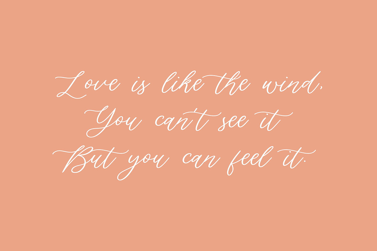 Silverweed - Calligraphy Script Font, a Script Font by Balpirick Studio (Photo 2 of 7)