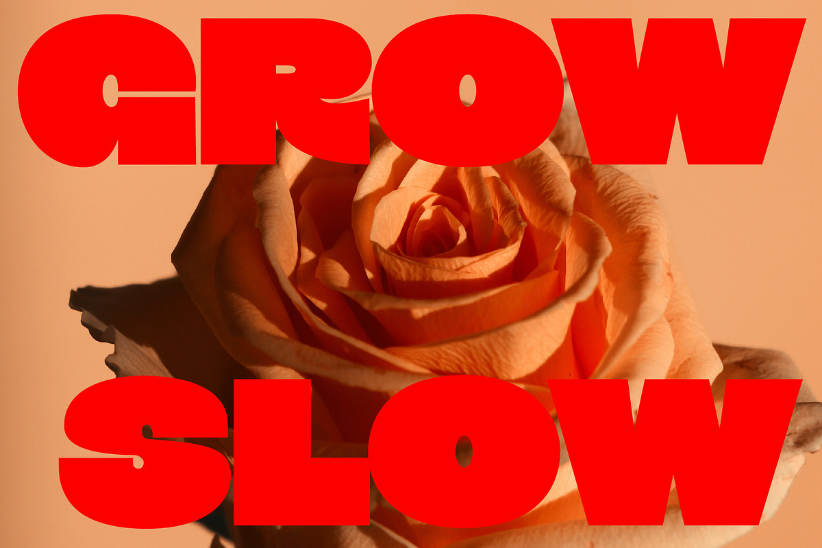 Big Sexy - Sans Serif, a Sans Serif Font by Tropical Type (Photo 10 of 13)