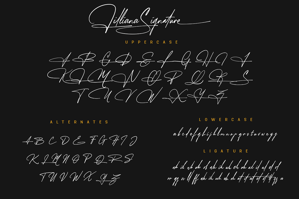 Lilliana Signature - A Display Font, a Script Font by overlaytemplates (Photo 4 of 5)