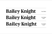 Griggs Serif, a Serif Font by Seniors (Thumbnail 2 of 8)