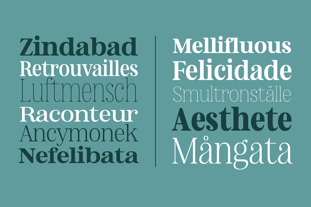 Nevoa Medium, a Script Font by OceaneM (Photo 6 of 7)