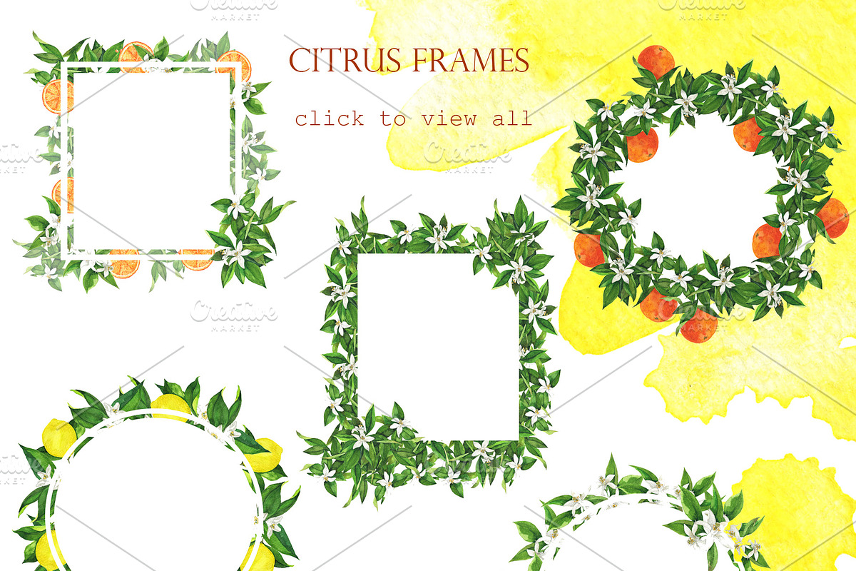 Watercolor citrus collection, a Food Illustration by Watercolor & sketches (Photo 4 of 8)