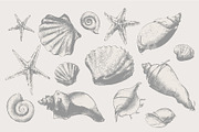 Vintage shell, an Illustration by Siosay (Thumbnail 2 of 8)