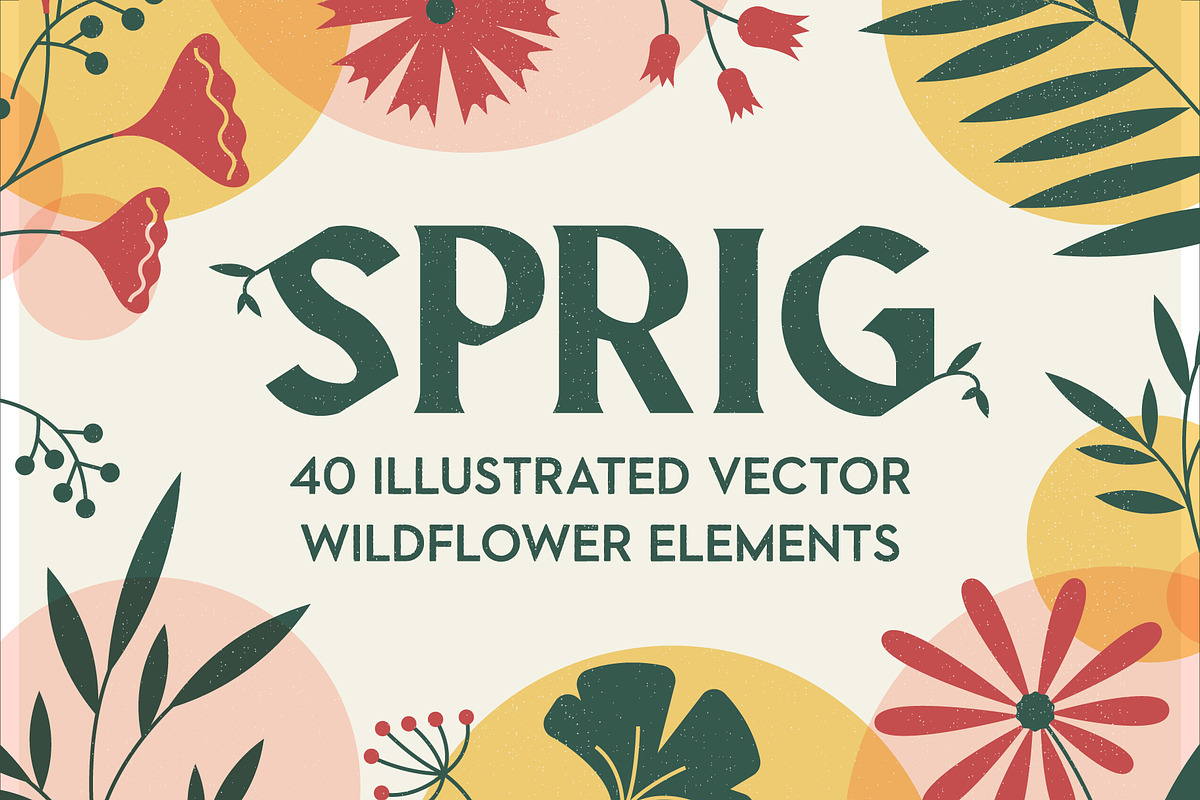 SPRIG: 40 Vector Wildflower Elements, an Object Graphic by Elevens (Photo 1 of 6)