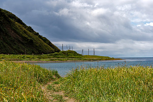 Grassy coastal path leading to calm, a Nature Photo by Elena Vagengeim