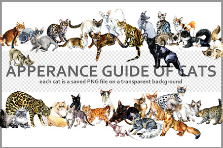 Cats clipart PNG