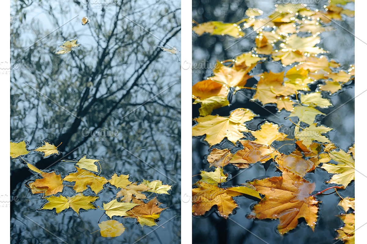 Fall backgrounds featuring colorful, color, and design, a Nature Photo by Fruits+Veggies (Photo 3 of 5)