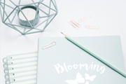The Blooming Beautiful Bundle, a Books & Magazine Mockup by Peppermint &Tea (Thumbnail 4 of 7)
