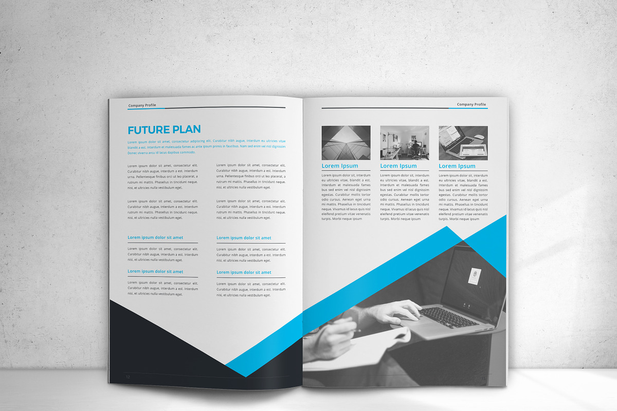 The Business Brochure, a Brochure Template by design_pick (Photo 8 of 12)