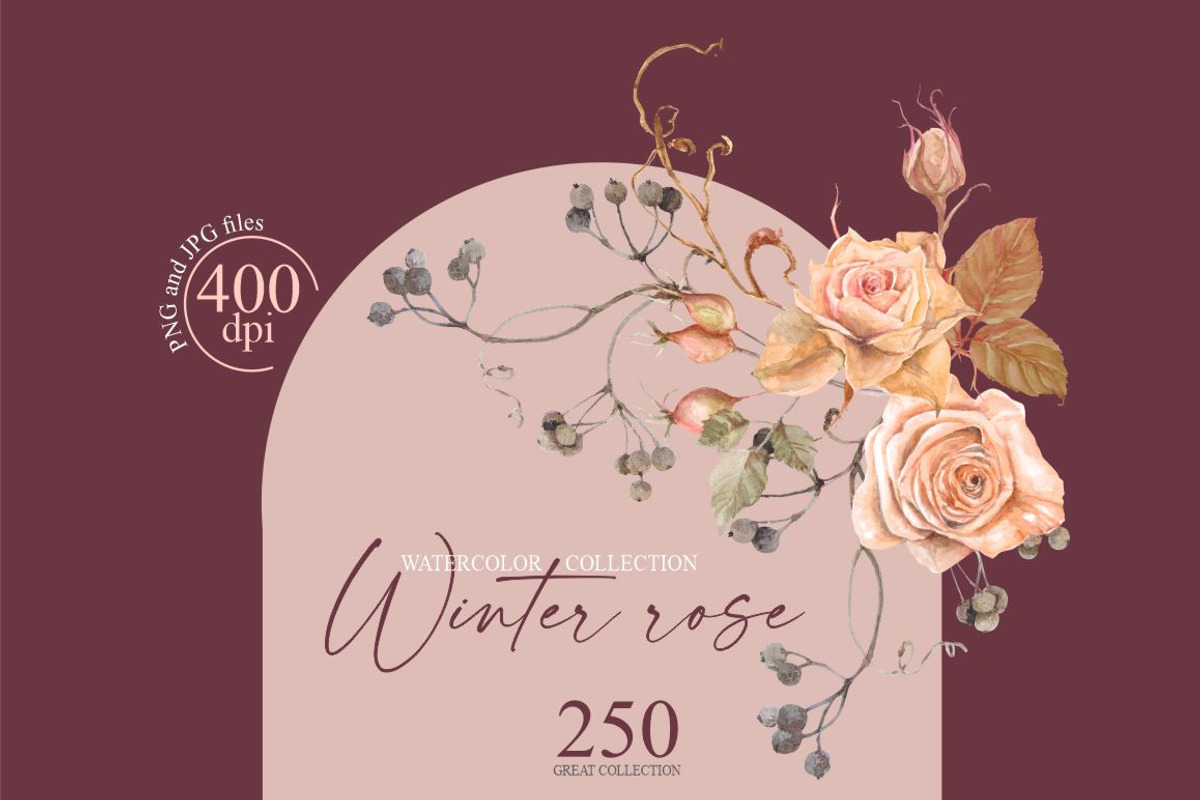 Winter rose-watercolor set, a Decorative Illustration by Collection by VY (Photo 1 of 10)