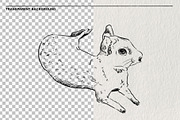 Sketches of the Mara animal in PNG, an Animal Illustration by LOKSKIH (Thumbnail 2 of 6)