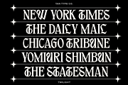 TAN - TWILIGHT, a Blackletter Font by TanType (Thumbnail 4 of 13)