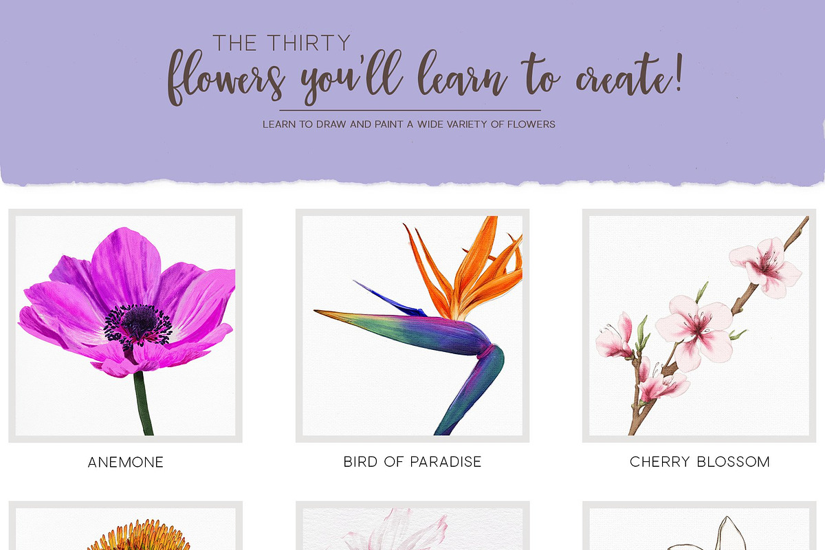 Fun Floral Sketchbook Practices, a Brush Add-On by Pretty Little Lines (Photo 13 of 17)