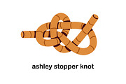 Knots, loops, tied ropes set, an Object Illustration by Good Studio (Thumbnail 16 of 21)