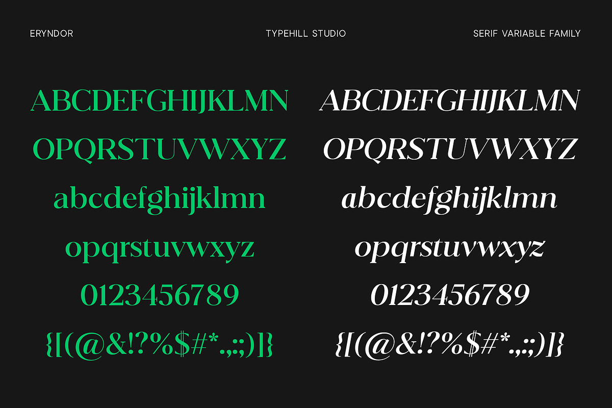 Eryndor, a Serif Font by Typehill (Photo 7 of 13)