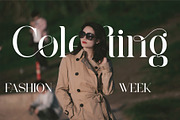 Colgan - Stylish Serif Font, a Serif Font by Aqeel_Art (Thumbnail 6 of 12)
