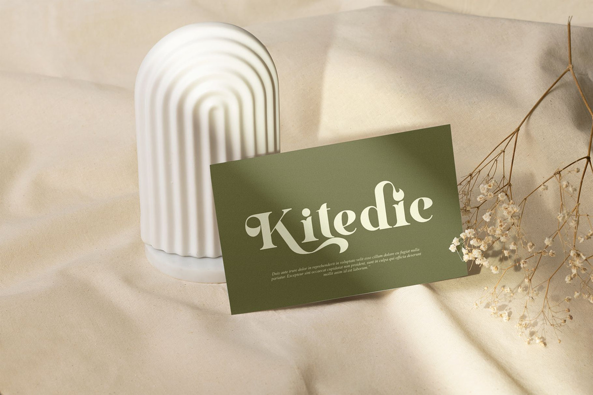 Ribery || Unique Serif Font, a Serif Font by Ermedia Studio (Photo 10 of 10)