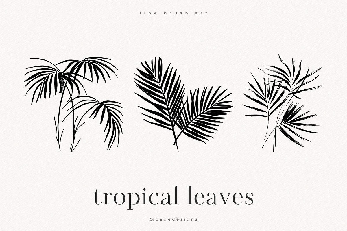 Tropical Leaves, a Decorative Illustration by PeDe Designs (Photo 2 of 7)