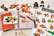 Fall Leaves and Berries, an Illustration by French Kiss Collections (Thumbnail 7 of 7)