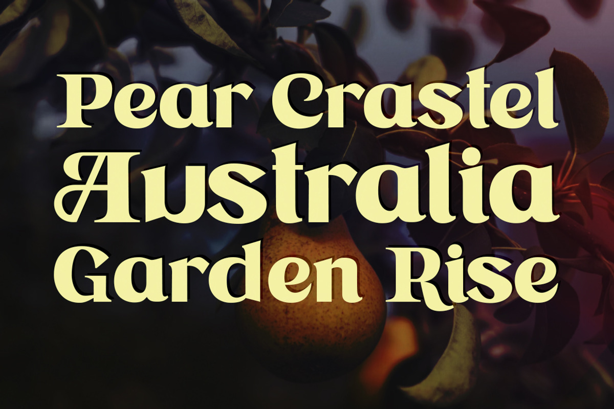 Astone Nisam, a Sans Serif Font by Gatype (Photo 5 of 10)