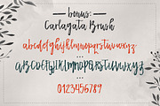 Carlagata, a Script Font by BlueRobinDesignShop (Thumbnail 8 of 8)